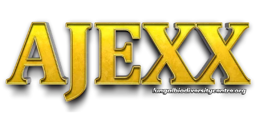 cropped-Logo-2025-02-04T132622.301.webp